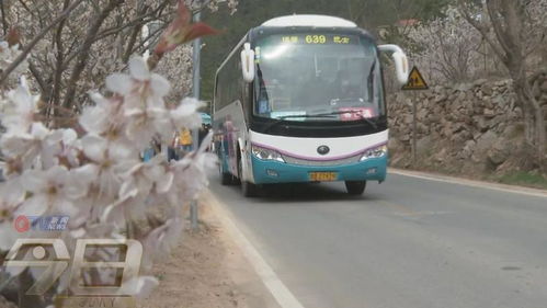 路线推荐一：从湖州到福鼎的迷幻漂流