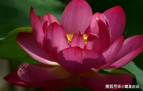 默默无闻的生肖中，哪个代表春天的生肖？