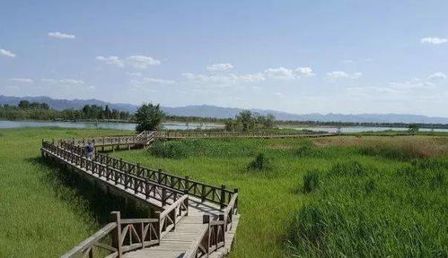三、 华秋实、环翠岛景区：天然美景尽收眼底