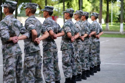 一、军训：磨砺意志，还是折磨肉体？