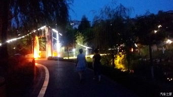 路线三：夜游“湿地萤火虫派对”——适合“年轻情侣”和“夜猫子”