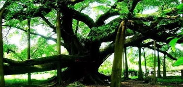 先别急着掏钱，堪堪这个让你心碎的价格表