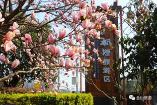 二、重点来了：踏青到底去哪儿？