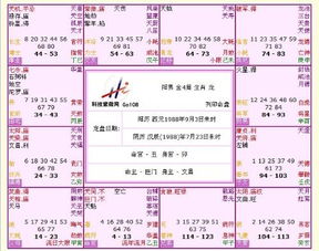 嬴政紫微命盘最详细解读，如何全面分析紫微命盘的各个方面？
