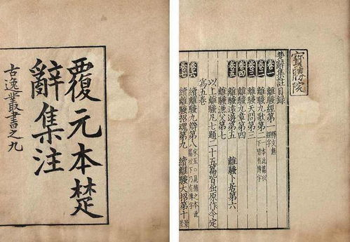 序言：寻根溯源，育名之道