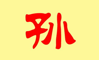 2026年孙姓女宝宝取什么名字好？有没有2020年女孩名字的灵感？