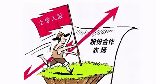 当穷光蛋想浪？一万块救命钱背后的血泪史