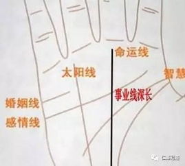 手相,手相