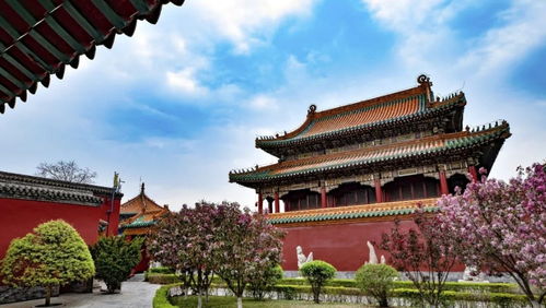 中街：吃喝玩乐一条街