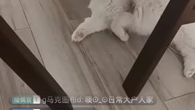 风水的煞气