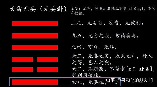 损卦六个爻辞吉凶解释大全视频，如何全面理解？