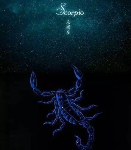 这俩星座的日常就是灾难片现场