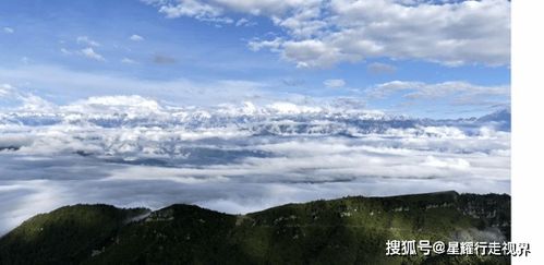 B. 噪音与情绪调剂剂（随意加进去）