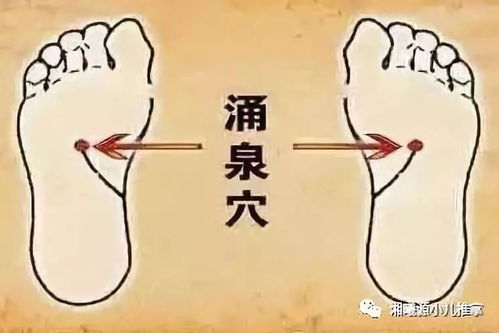 3. 个人体质看星座