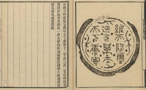 金火大乱炖：命硬还是命苦？