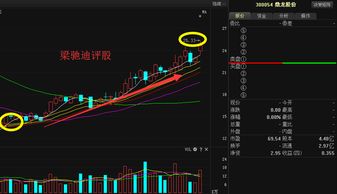 3. 龙身龙尾全靠编