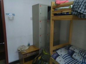 红十月驴友青年旅社：老城区的味道