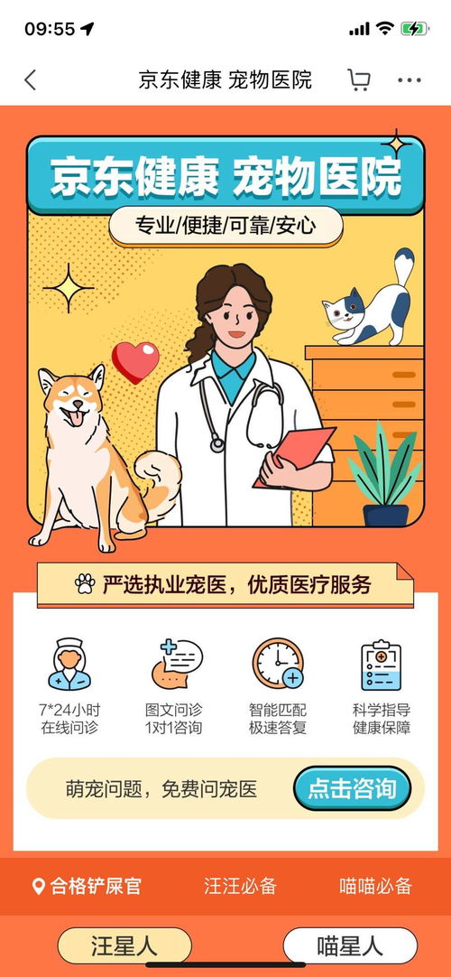 宠物摆放与方位建议
