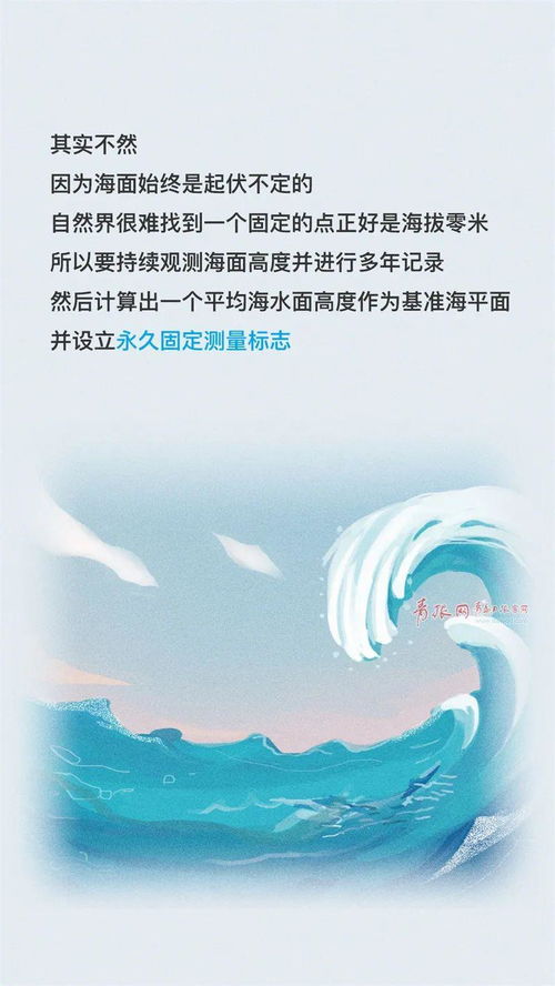 风水？道学？野菜？2026年黄历大乱炖