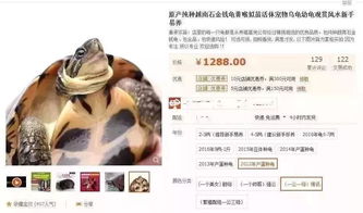 蝌蚪形风水怎么葬,蝌蚪寓意和风水