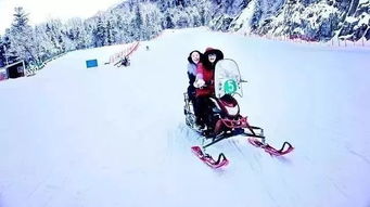 五、 滑雪季特惠活动：昌平惠民滑雪票