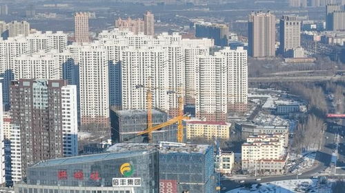 2.3 哈尔滨市中心：冰雪圣殿与都市脉搏