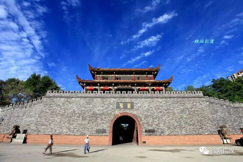 游客吐槽笑死人