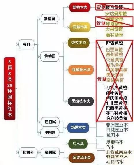 2026年水瓶座运势每月详细预测及整体运势是什么？