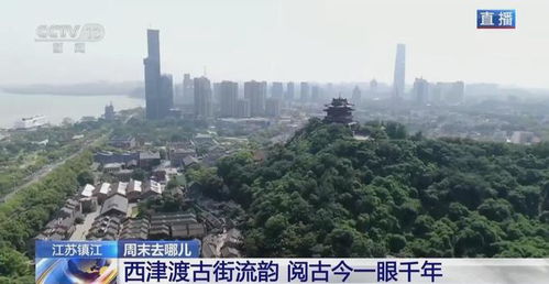 “徐州风韵河南魂，独特血脉韵味浓”