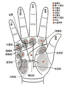 2. 纹路的解读