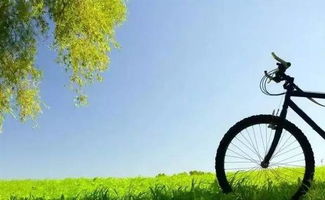 (2) 春笋——破土而出的鲜美