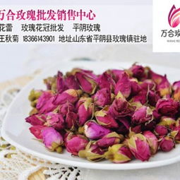 玫瑰花，到底该怎么选？