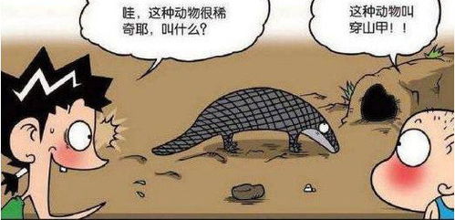 2. 中产精英篇：看起来较高端其实不接地气