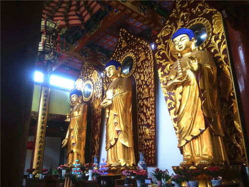 第一步：到底坐啥车去？公交还是摩托？