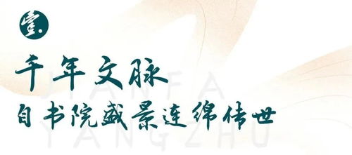 误区①：只看音韵，不管意义