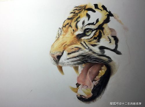 2026年出生的虎宝宝免费起名，有没有好听的取名建议？