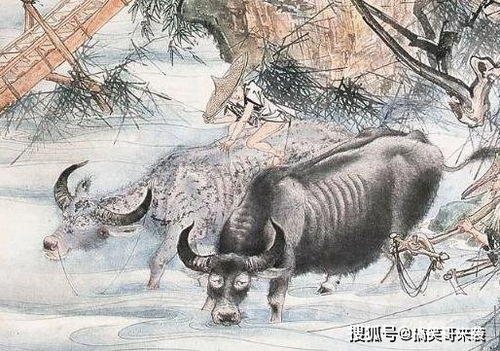 2. 虎虎生威派