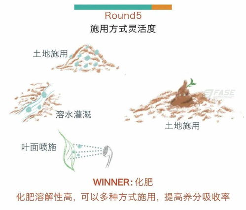 叶姓女孩2025年7月7日出生的五行缺什么？如何根据五行科学取名？（别慌，咱慢慢来！）