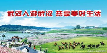 惯与那个湖水的倒影再唠叨两句