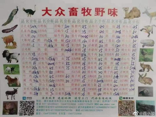 带金又带水的男孩名字：寓意深远的佳选
