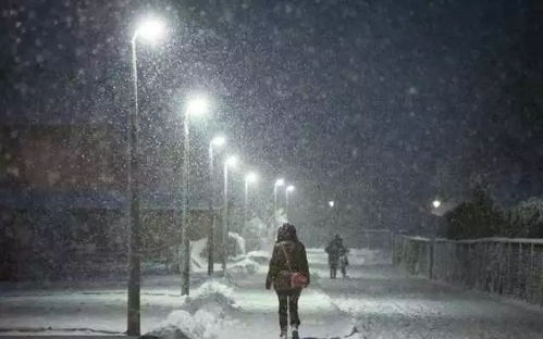 失踪案 – 被遗忘的历史