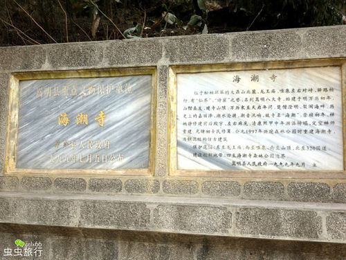 二、意外发现：尘封以久的壁画