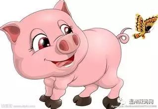 猪年大吉？呵呵，我看是猪事不顺！