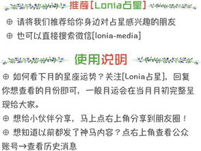 本周整体运势：一片混沌与蛰伏