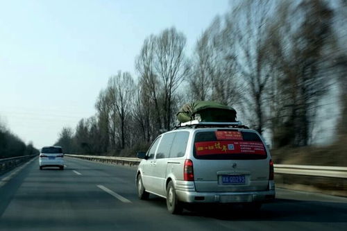 常见误区大揭秘——别再踩雷啦！