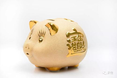 还有一些小建议（虽然可能没什么用）