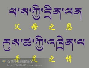 梵文禅修名“达摩”怎样翻译成富有有创意的中文？——一场名字的变奏