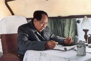 一、 鼠年暗流涌动——阴阳失衡的乱象