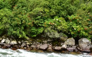 改变风水Zui快的方法,改变风水Zui快的方法