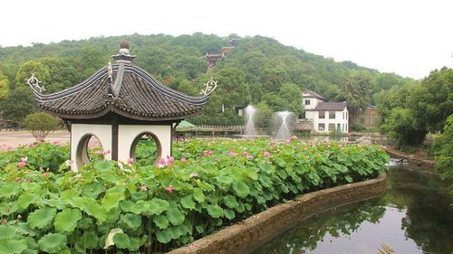 探险区较大盘点：从地下河到“一线天”乱入